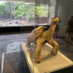 Fausto Llerena Breeding Center - Puerto Ayora