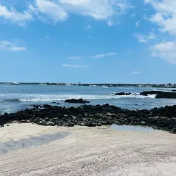 Fausto Llerena Breeding Center - Puerto Ayora