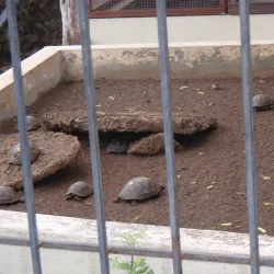 Fausto Llerena Breeding Center - Puerto Ayora