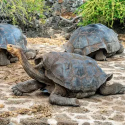 Galápagos Interpretation Center - Puerto Ayora