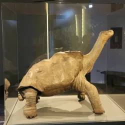 Galápagos Interpretation Center - Puerto Ayora