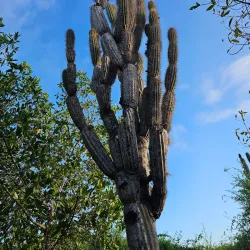 Galápagos Interpretation Center - Puerto Ayora