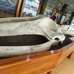 Galápagos Interpretation Center - Puerto Ayora
