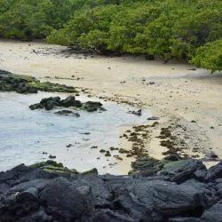 Las Grietas - Puerto Ayora