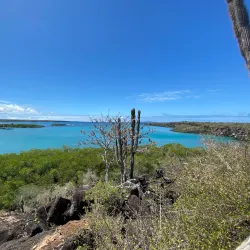 Las Grietas - Puerto Ayora