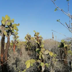 Las Grietas - Puerto Ayora