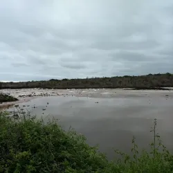 Las Grietas - Puerto Ayora