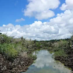 Las Grietas - Puerto Ayora