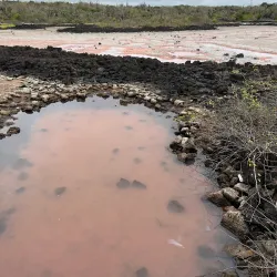 Las Grietas - Puerto Ayora