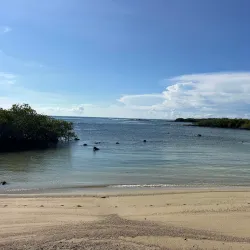 Playa de los Alemanes - Puerto Ayora
