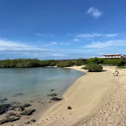 Playa de los Alemanes - Puerto Ayora