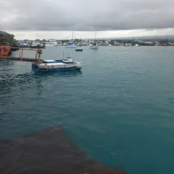 Playa de los Alemanes - Puerto Ayora