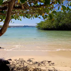 Playa de los Alemanes - Puerto Ayora