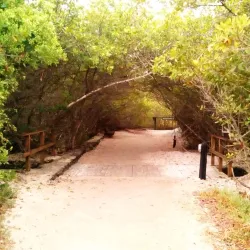 Playa de los Alemanes - Puerto Ayora
