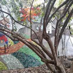 Plaza Charles Darwin - Puerto Ayora