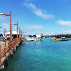Santa Cruz Fish Market - Puerto Ayora