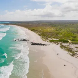 Tortuga Bay - Puerto Ayora