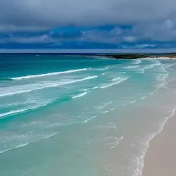 Tortuga Bay - Puerto Ayora