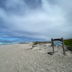 Tortuga Bay - Puerto Ayora