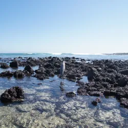 Tortuga Bay - Puerto Ayora