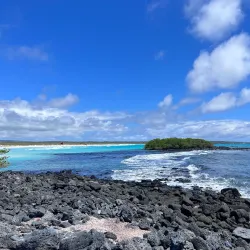 Tortuga Bay - Puerto Ayora