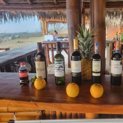 Local Seafood Restaurants - Puerto Cayo