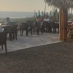 Local Seafood Restaurants - Puerto Cayo