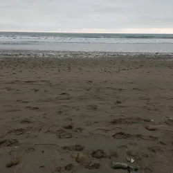 Puerto Cayo Beach - Puerto Cayo