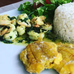 Snorkeling and Diving Spots - Puerto Cayo