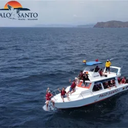 Whale Watching Tours - Puerto Cayo