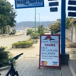 Whale Watching Tours - Puerto Cayo