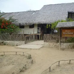 Agua Blanca Community - Puerto Lopez