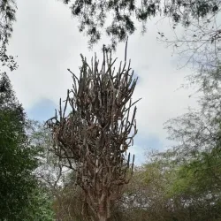 Agua Blanca Community - Puerto Lopez