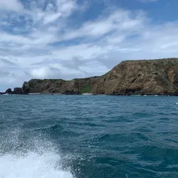 Isla de la Plata - Puerto Lopez