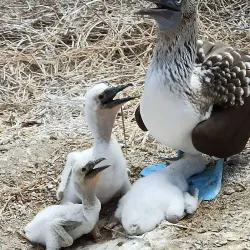 Machalilla National Park - Puerto Lopez