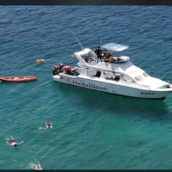 Mangrove Tours - Puerto Lopez