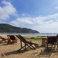 Mangrove Tours - Puerto Lopez