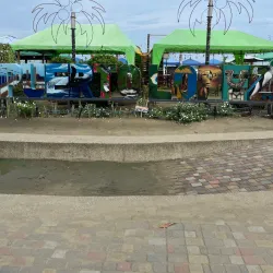 Mangrove Tours - Puerto Lopez