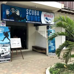 Mangrove Tours - Puerto Lopez