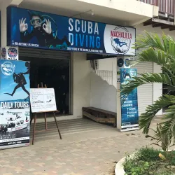 Mangrove Tours - Puerto Lopez