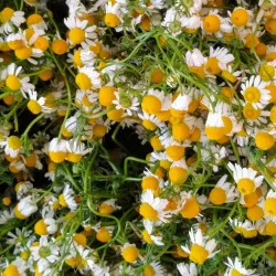 Puerto Lopez Fish Market - Puerto Lopez