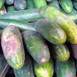 Puerto Lopez Fish Market - Puerto Lopez