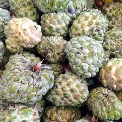 Puerto Lopez Fish Market - Puerto Lopez