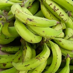 Puerto Lopez Fish Market - Puerto Lopez