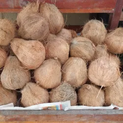 Puerto Lopez Fish Market - Puerto Lopez
