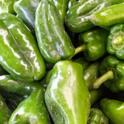 Puerto Lopez Fish Market - Puerto Lopez