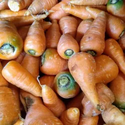 Puerto Lopez Fish Market - Puerto Lopez