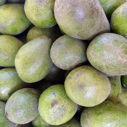 Puerto Lopez Fish Market - Puerto Lopez