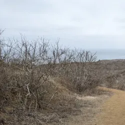 Whale Watching Tours - Puerto Lopez