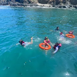 Whale Watching Tours - Puerto Lopez